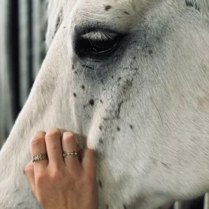 A close-up of a white horse with black spots near its eye as a hand wearing the Maya Horse Bit Ring gently touches its cheek, highlighting an intimate connection. The softly blurred background brings focus to the ring and the moment.