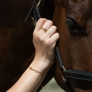 A close-up of a hand wearing the Maya Horse Bit Ring and a gold bracelet gently touches a horse’s face near its bridle, showing the horse’s brown coat and black bridle.