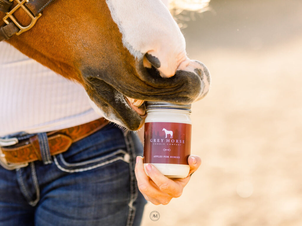 A brown and white horse nuzzles a Grey Horse Candle 11oz Jar—Apples for Horses scent—held by someone in jeans and a striped shirt.