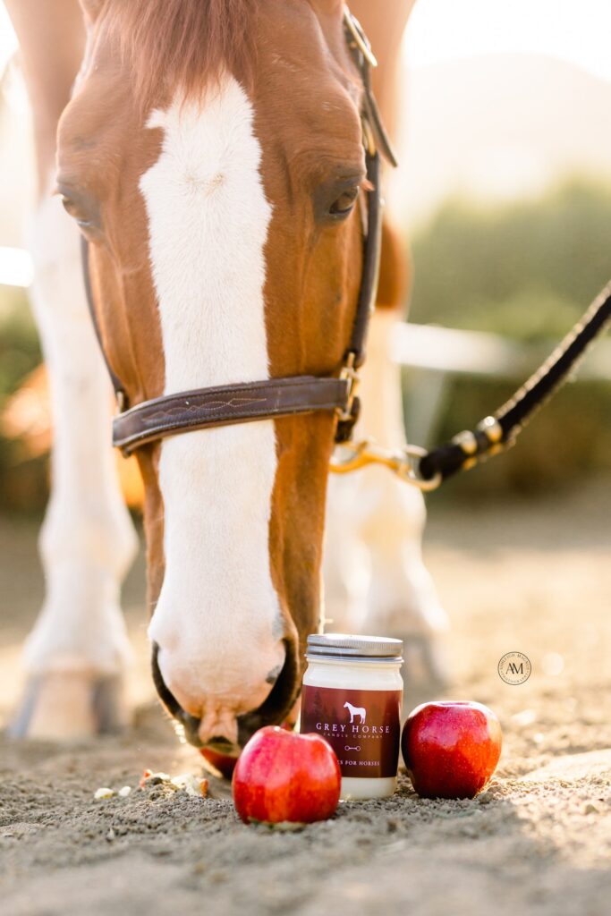 A horse with a white blaze sniffs the ground near two red apples and an Apples For Horses Jar, suggesting an interest in equine treats or supplements. The softly blurred background and sunlight add warmth to the scene.
