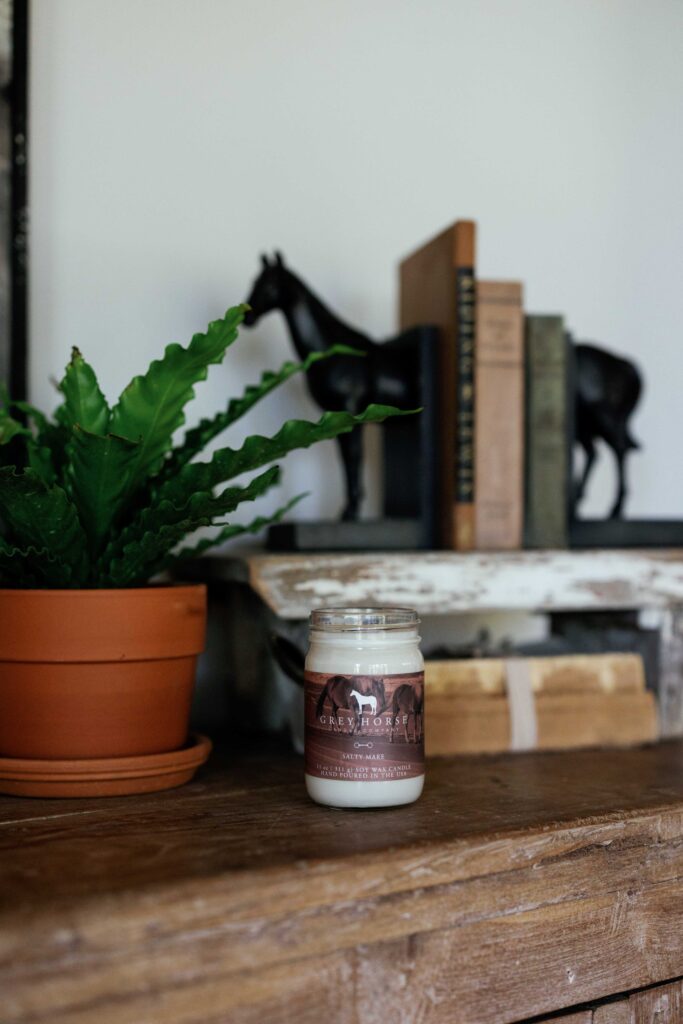 A potted fern, a Salty Mare Jar, and vintage books with a black horse figurine are arranged on a wooden shelf.