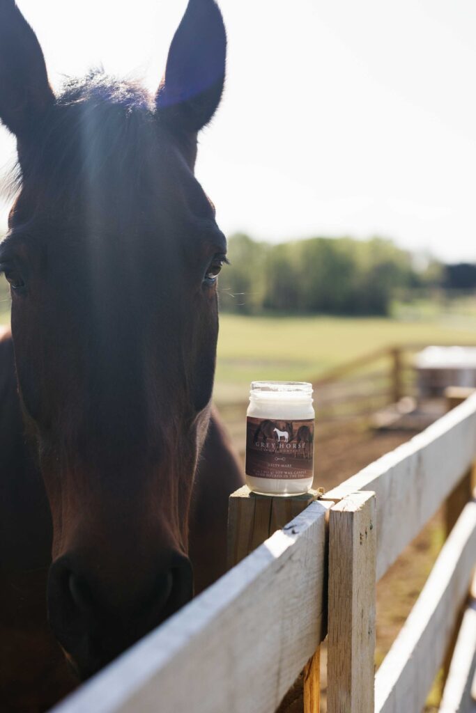 A dark brown horse stands by a wooden fence in sunlight, with a Salty Mare Jar placed on the fence rail in front of the horse.