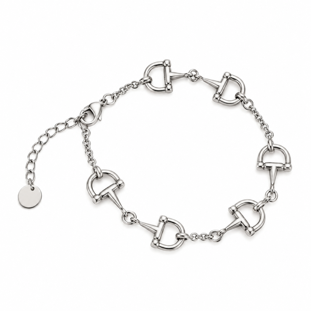 Silver chain bracelet featuring five D-shaped links connected by small round links, with an adjustable extension chain and a round charm at the end.