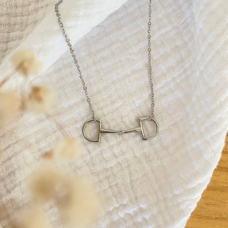 The silver Oly Necklace, featuring a horse bit pendant, is displayed on a textured white cloth with softly blurred beige dried flowers in the foreground.