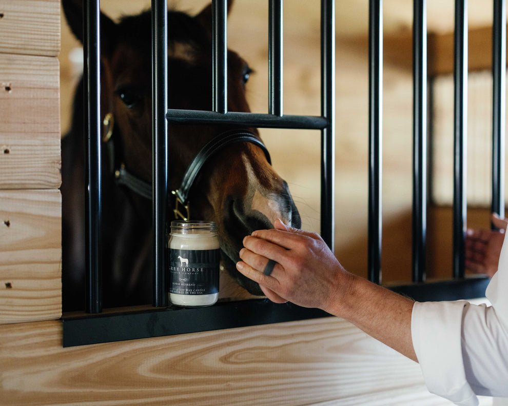 A person feeds a brown horse through black metal bars in a stable. A candle jar labelled Saddlehorse sits on the windowsill next to the horse's nose.